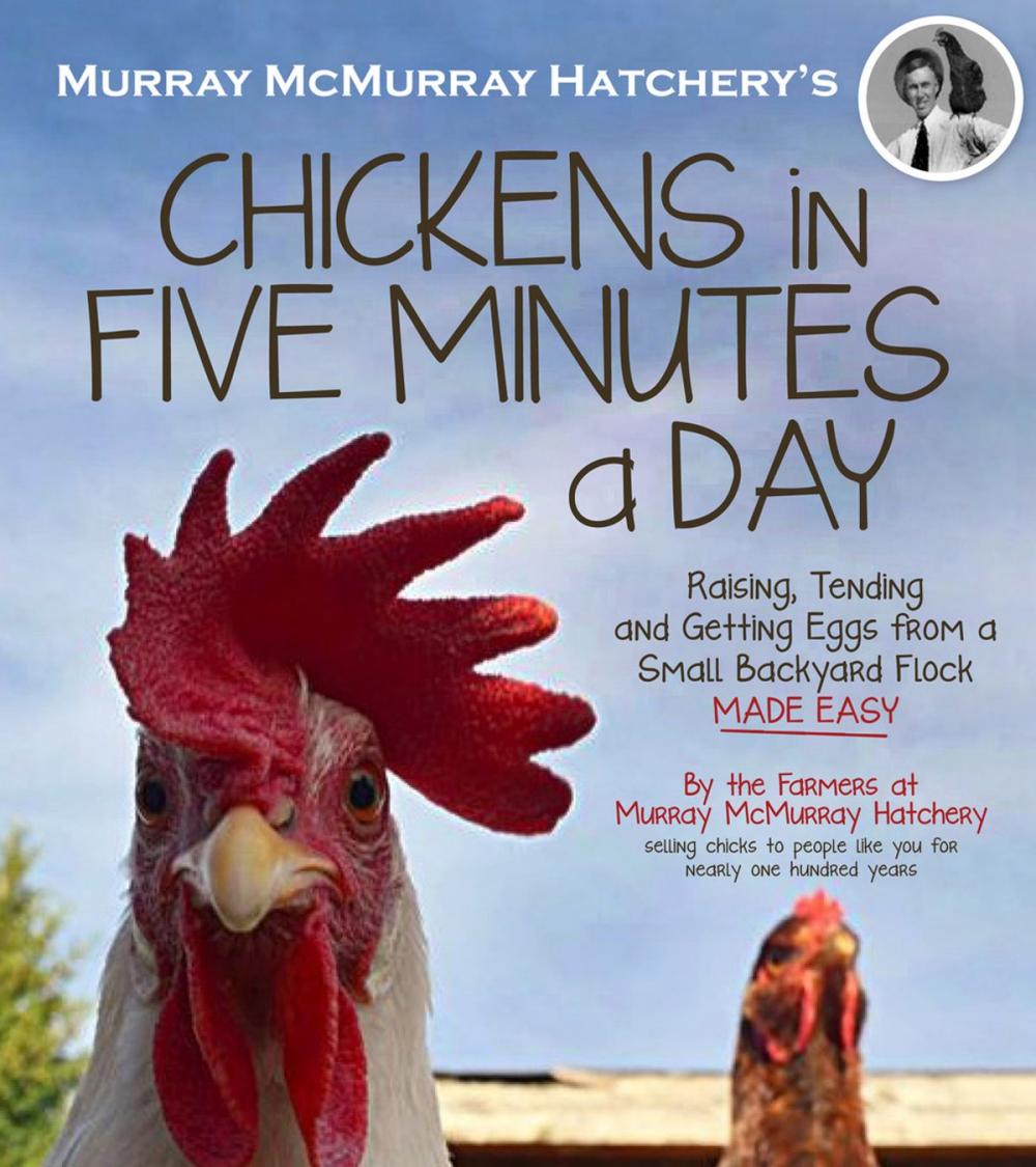 Big bigCover of Murray McMurray Hatchery's Chickens in Five Minutes a Day