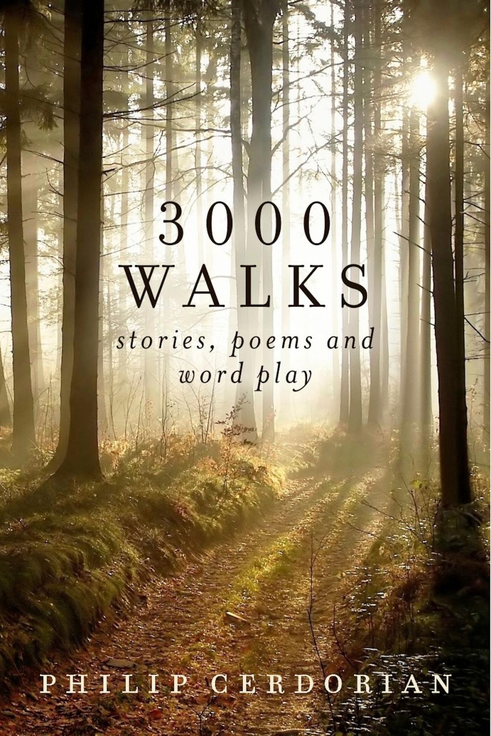 Big bigCover of 3000 Walks