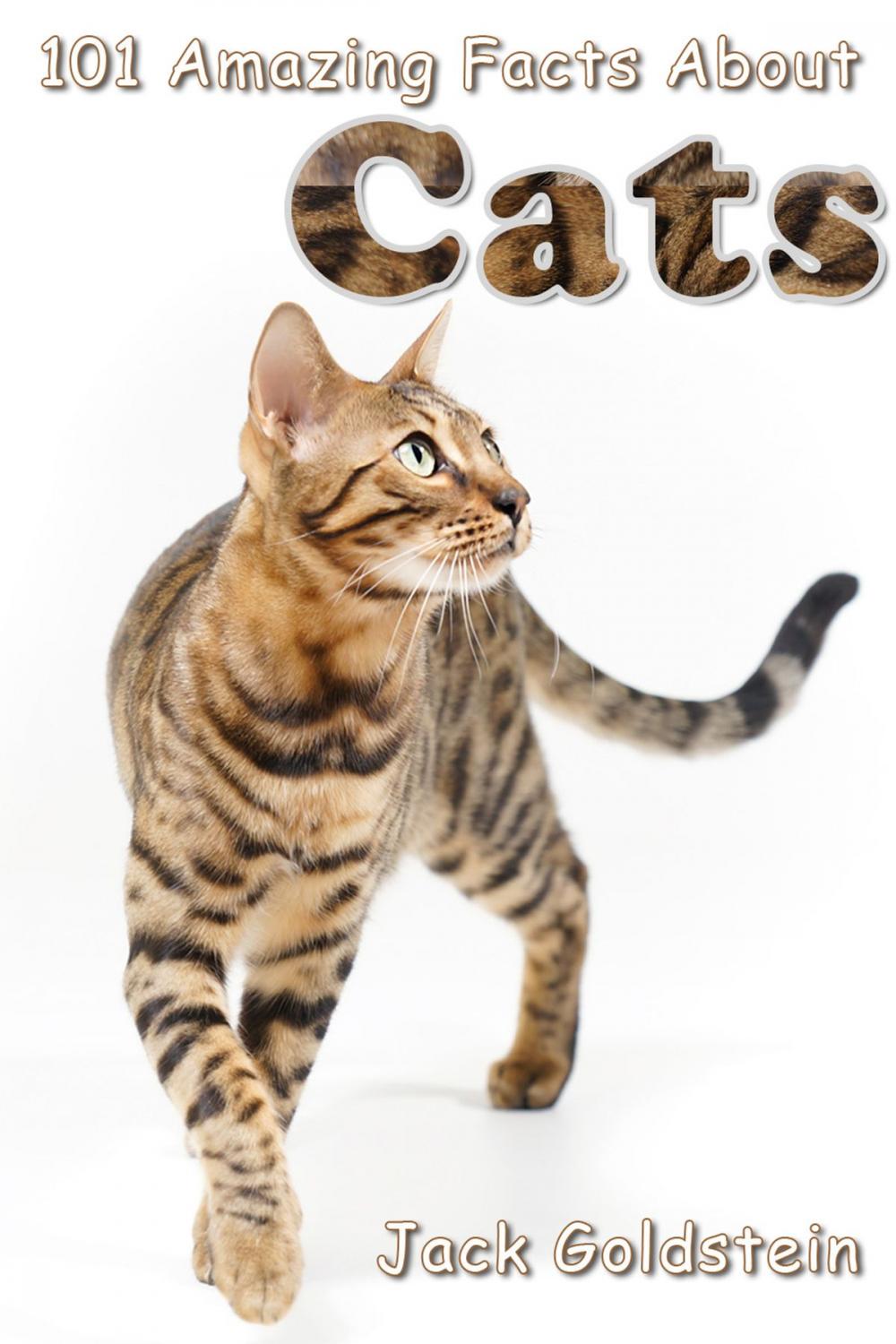 Big bigCover of 101 Amazing Facts About Cats