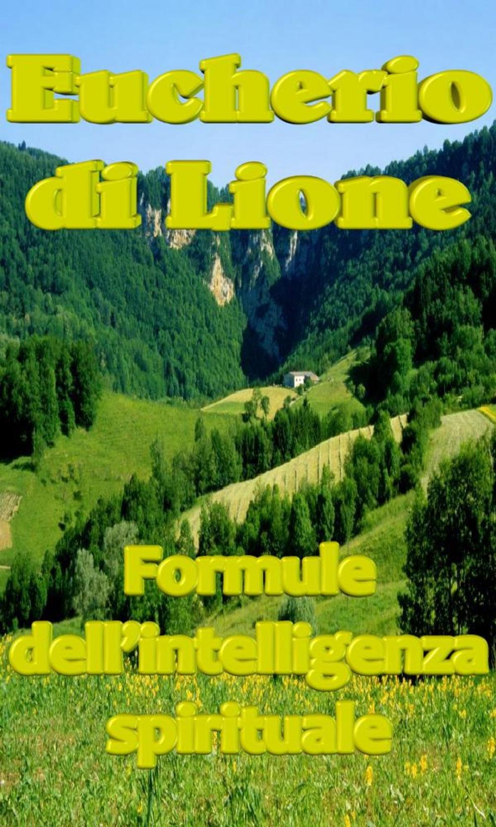 Big bigCover of Formule dell’intelligenza spirituale