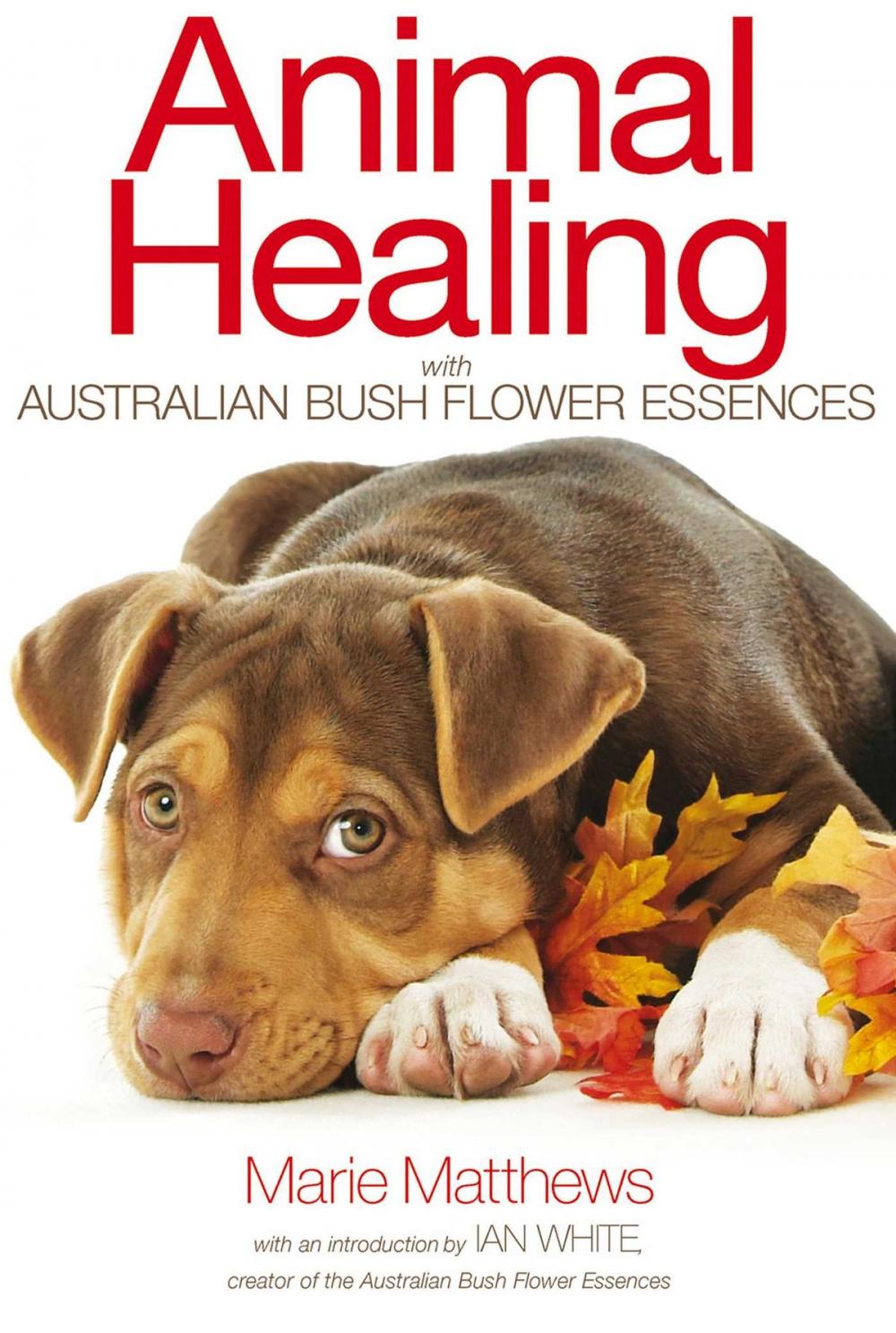 Big bigCover of Animal Healing with Australian Bush Flower Essences