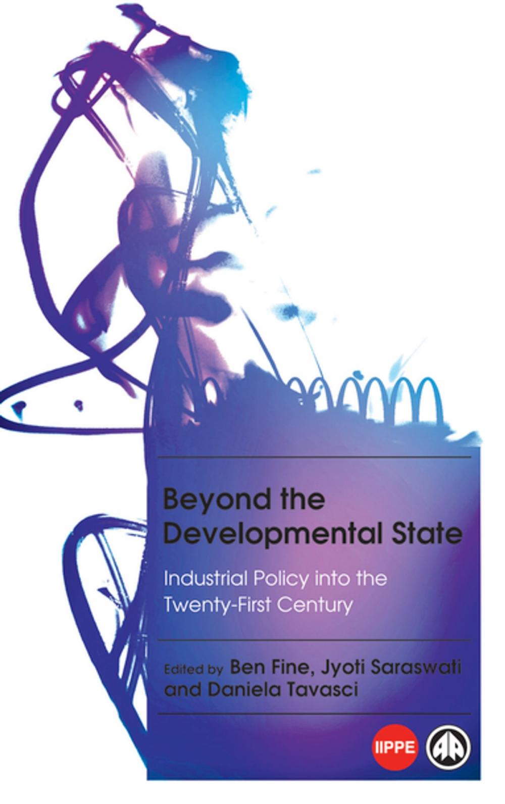 Big bigCover of Beyond the Developmental State