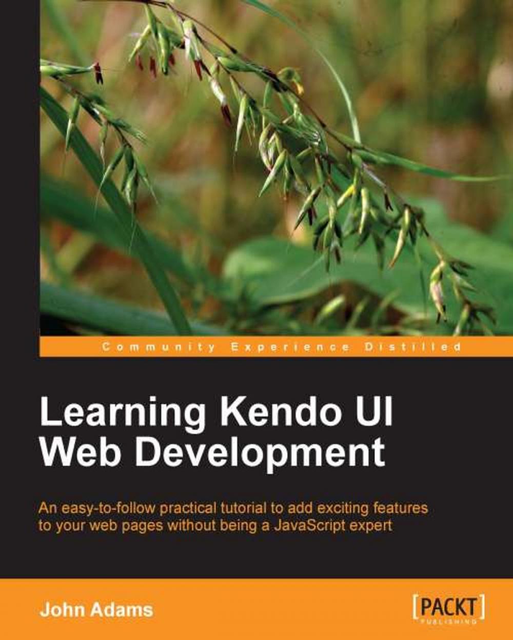 Big bigCover of Learning Kendo UI Web Development