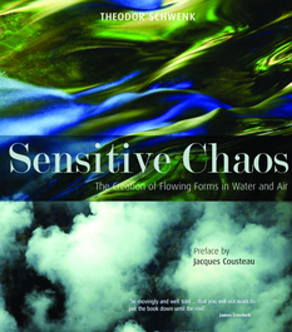 Big bigCover of Sensitive Chaos