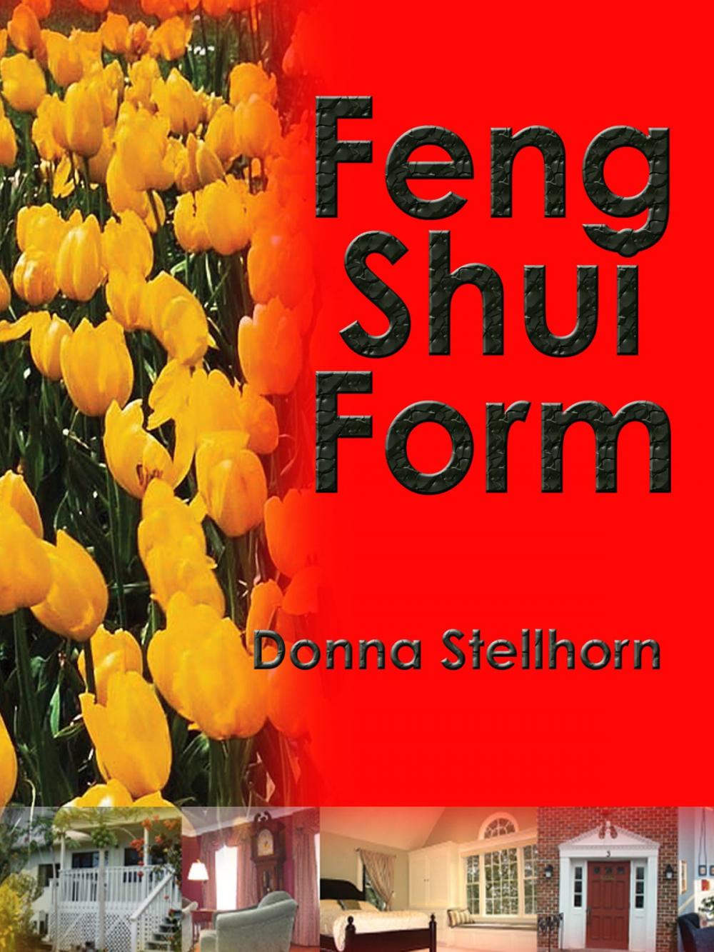 Big bigCover of Feng Shui Form