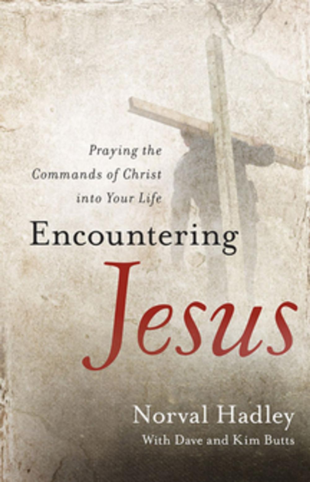 Big bigCover of Encountering Jesus