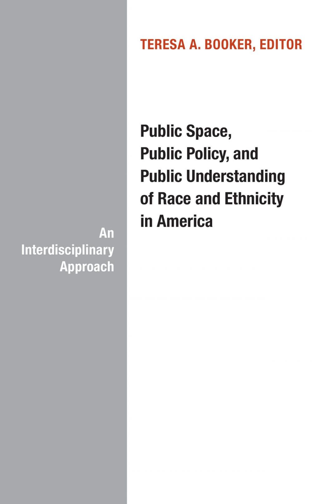 Big bigCover of Public Space, Public Policy, and Public Understanding of Race and Ethnicity in America