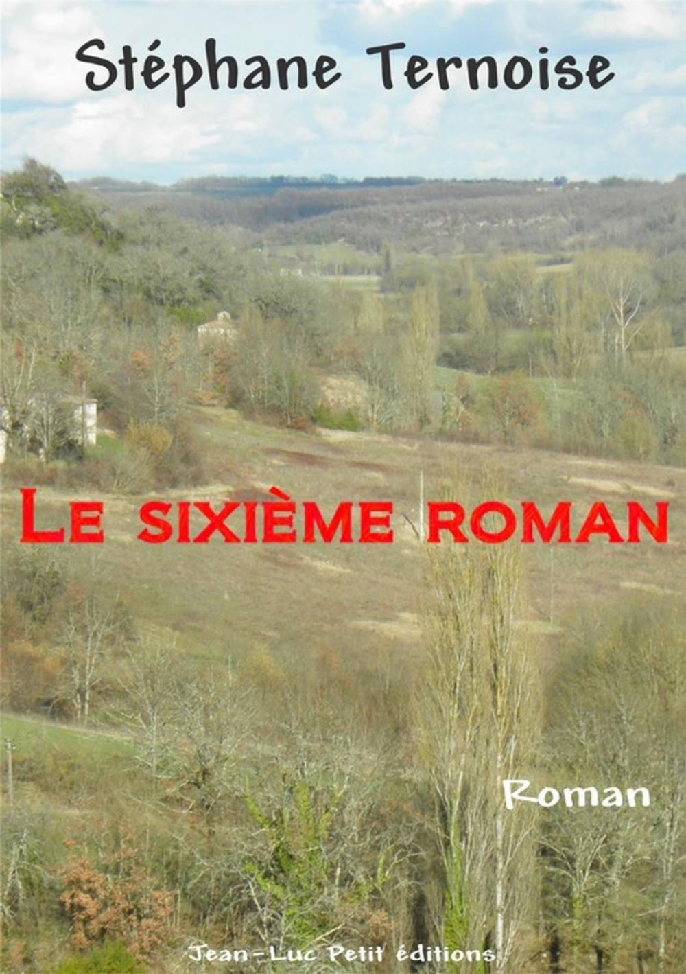 Big bigCover of Le sixième roman