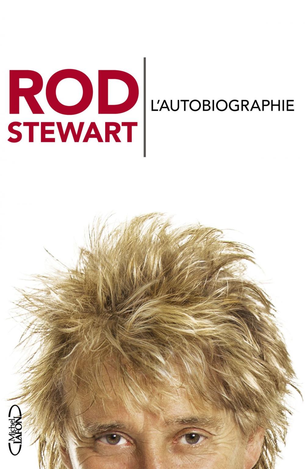 Big bigCover of L'autobiographie