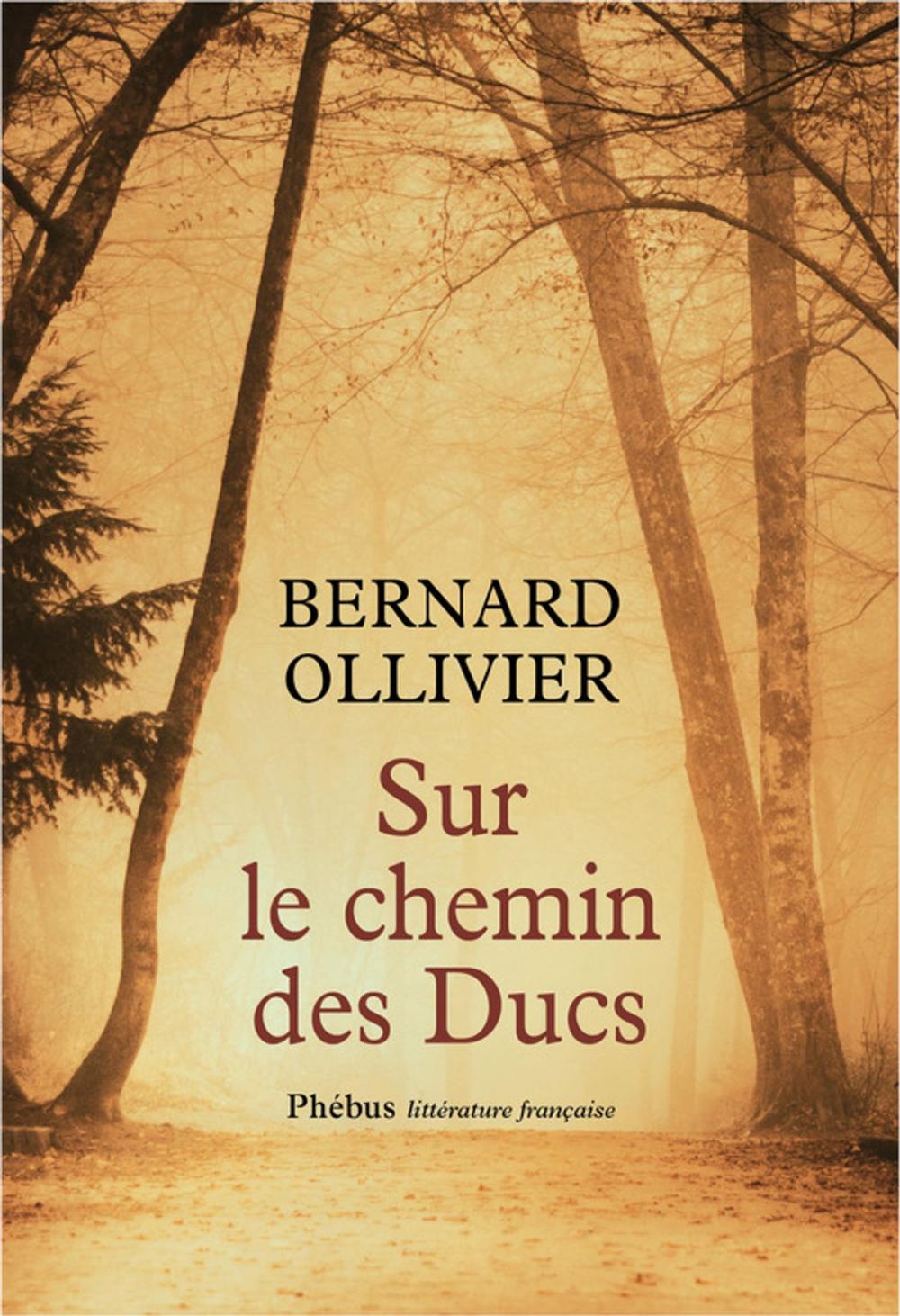 Big bigCover of Sur le chemin des Ducs