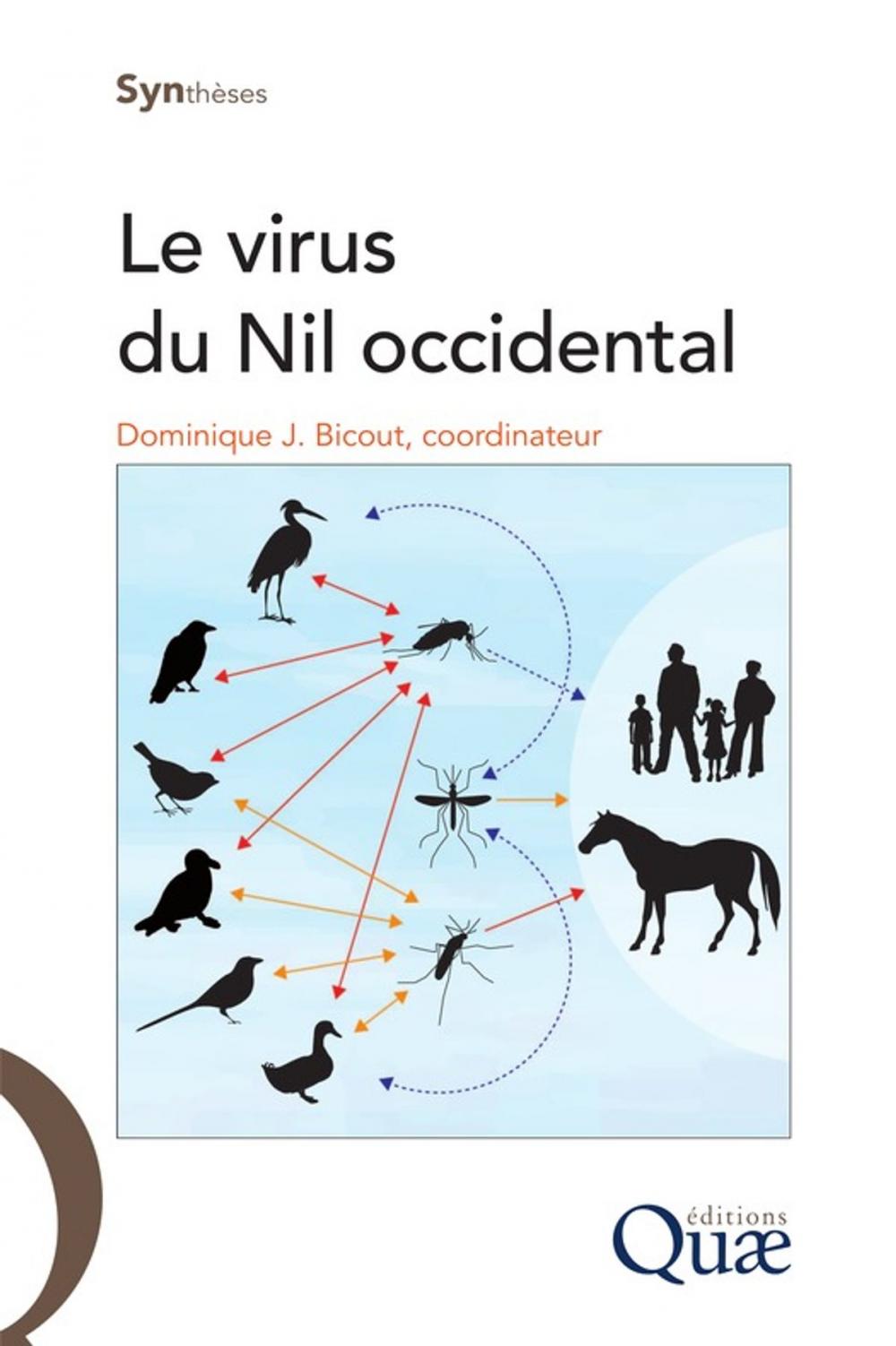 Big bigCover of Le virus du Nil occidental