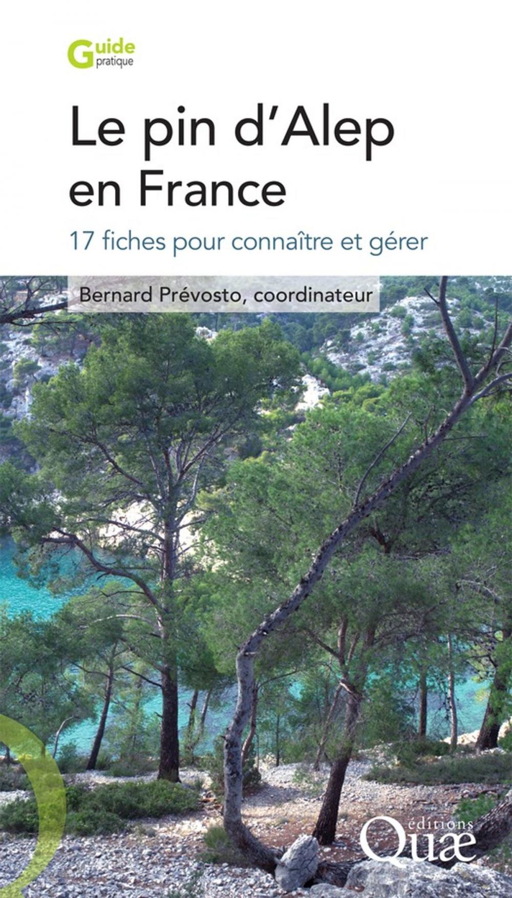 Big bigCover of Le pin d'Alep en France