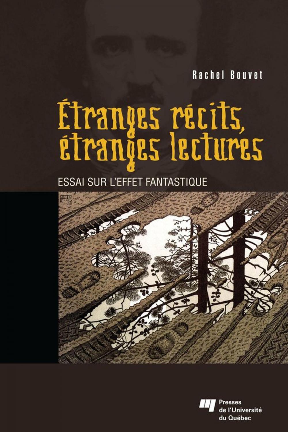 Big bigCover of Étranges récits, étranges lectures