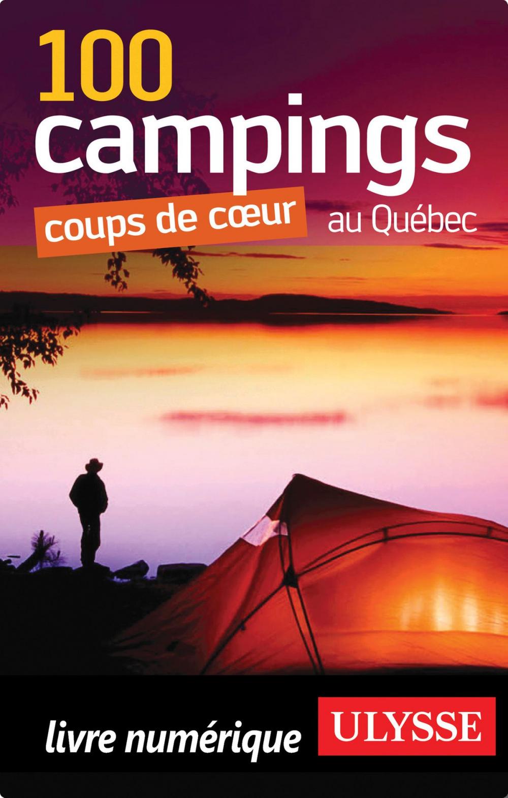 Big bigCover of 100 Campings coups de coeur au Québec