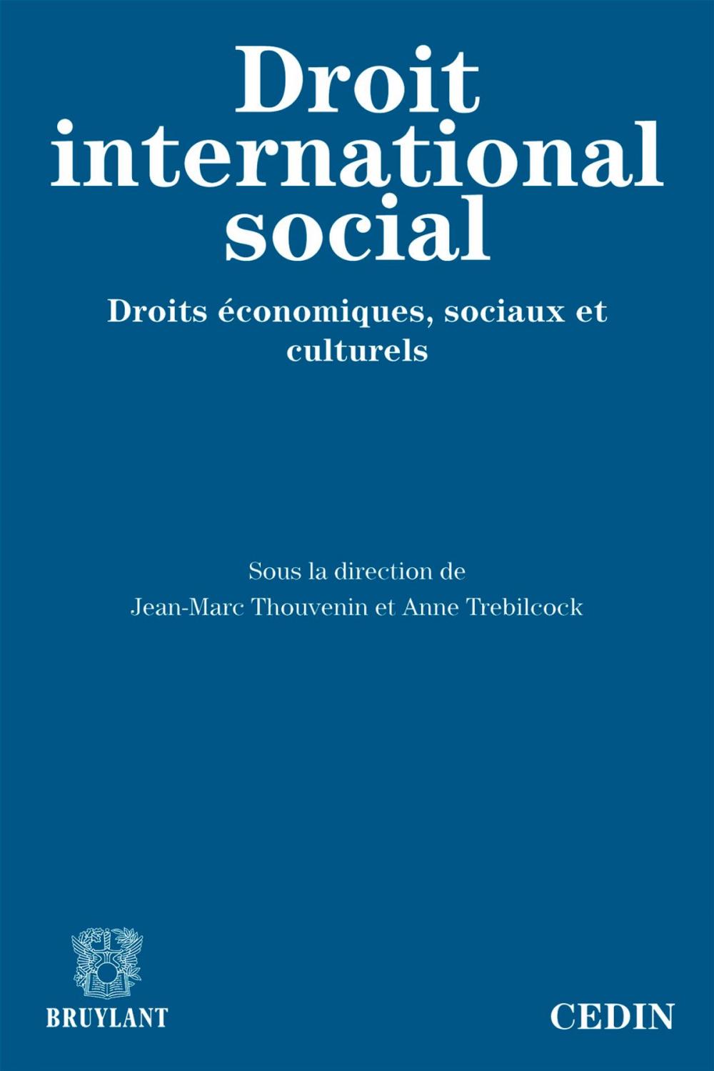 Big bigCover of Le droit international social