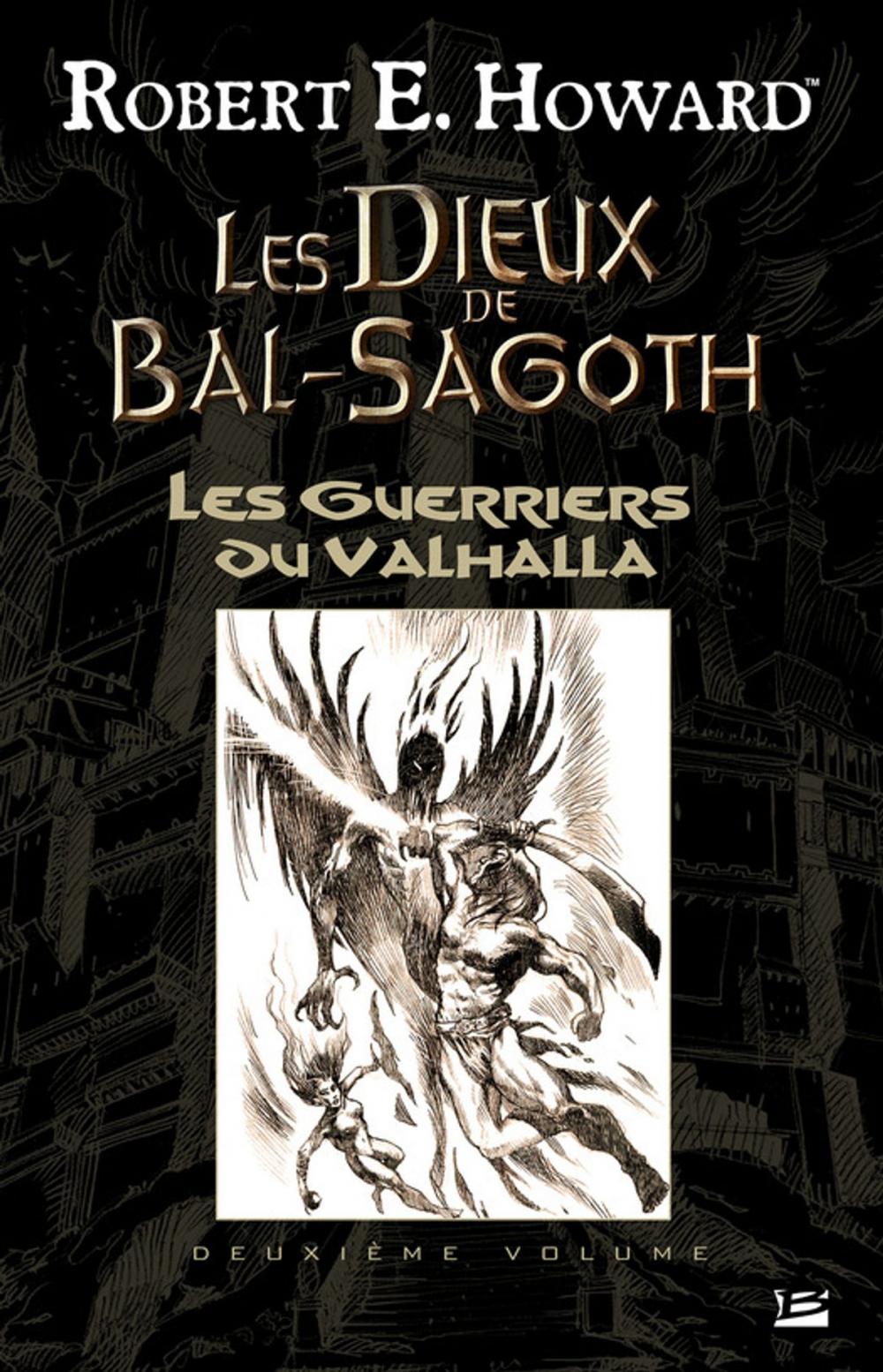 Big bigCover of Les Guerriers du Valhalla