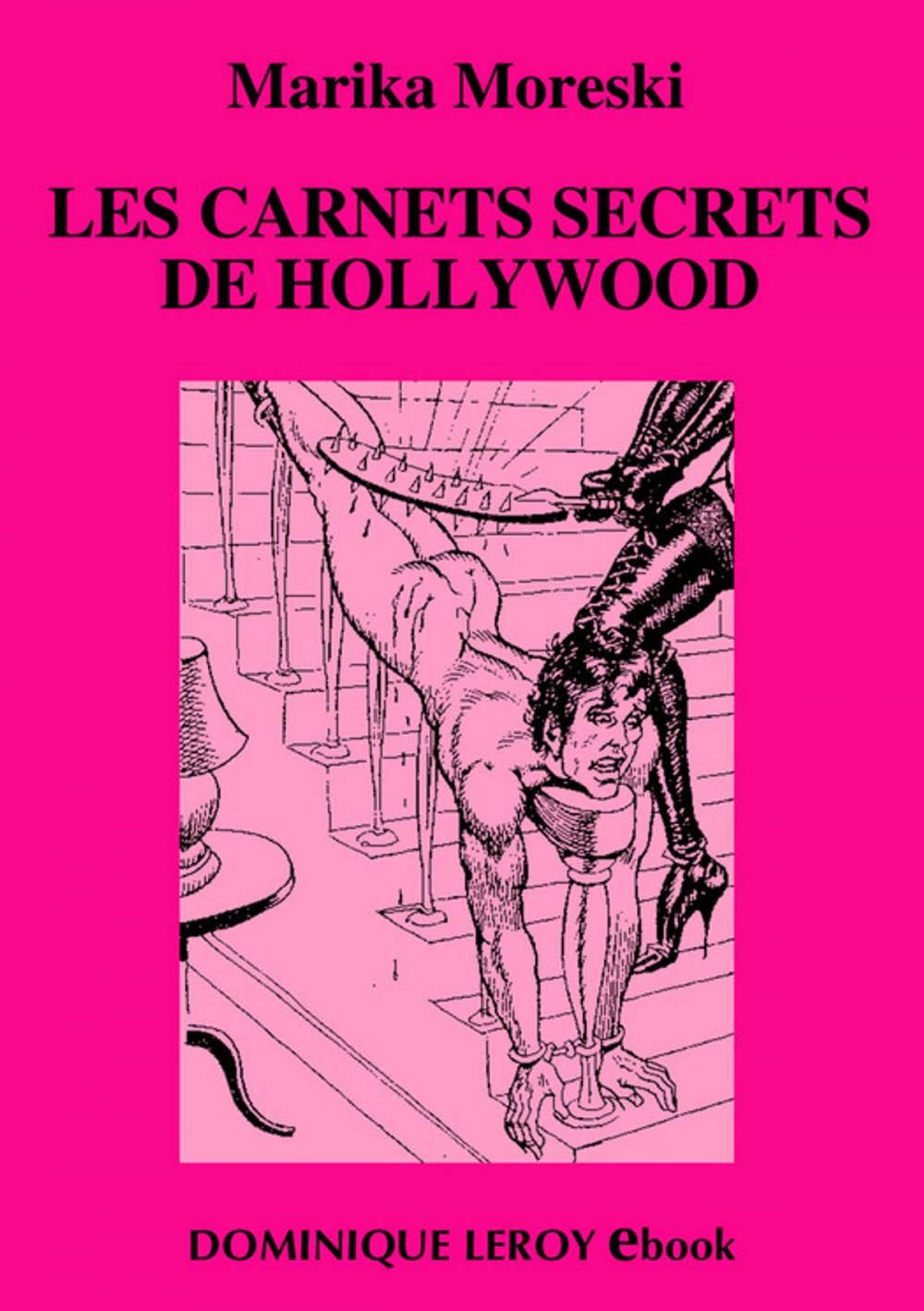 Big bigCover of Les Carnets secrets de Hollywood