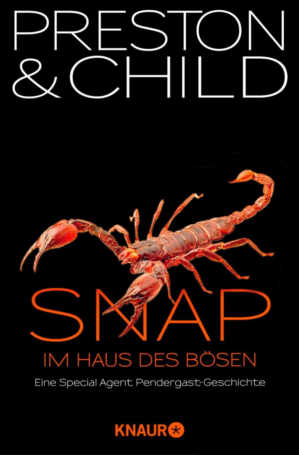 Big bigCover of Snap - Im Haus des Bösen