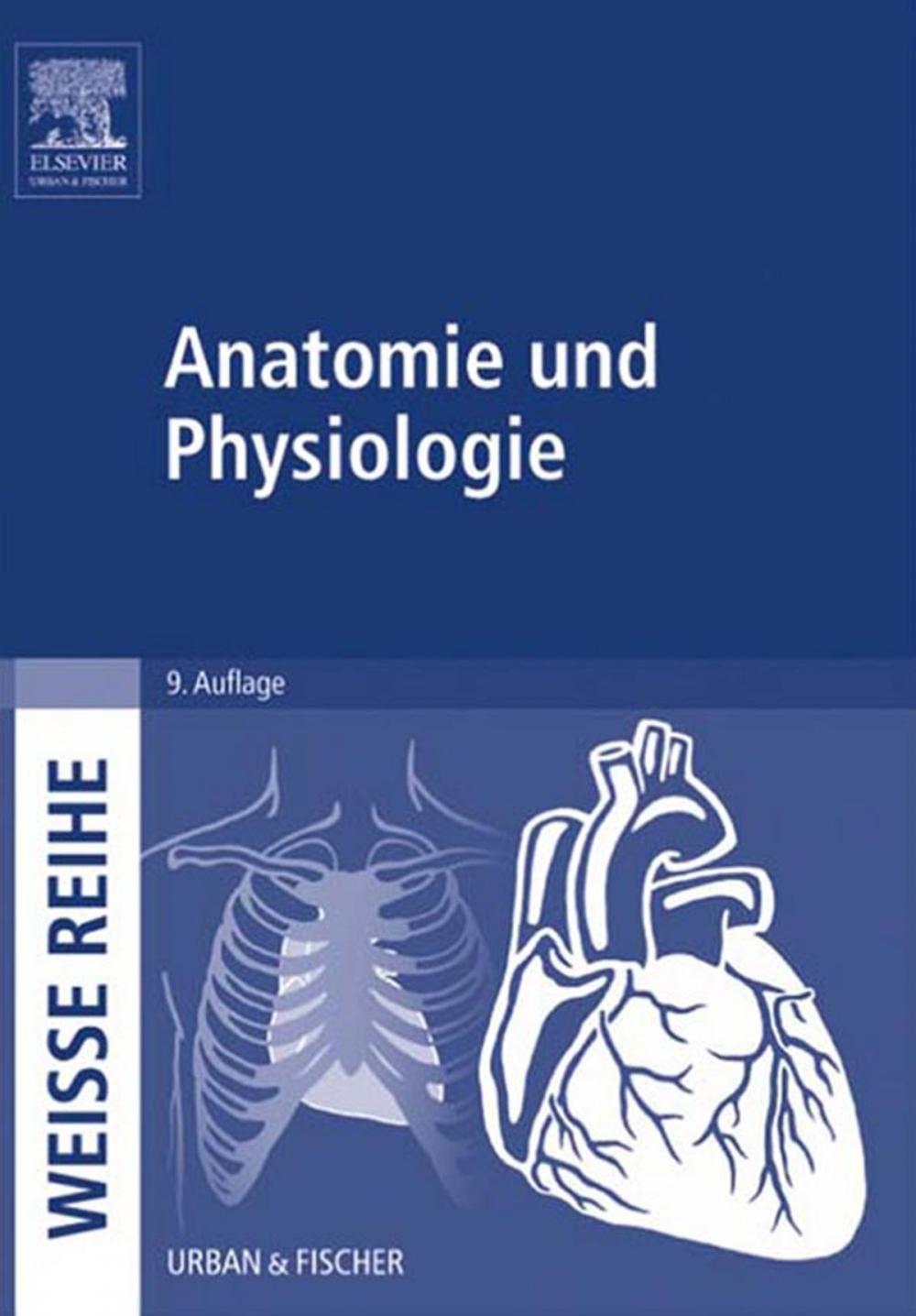 Big bigCover of Anatomie und Physiologie