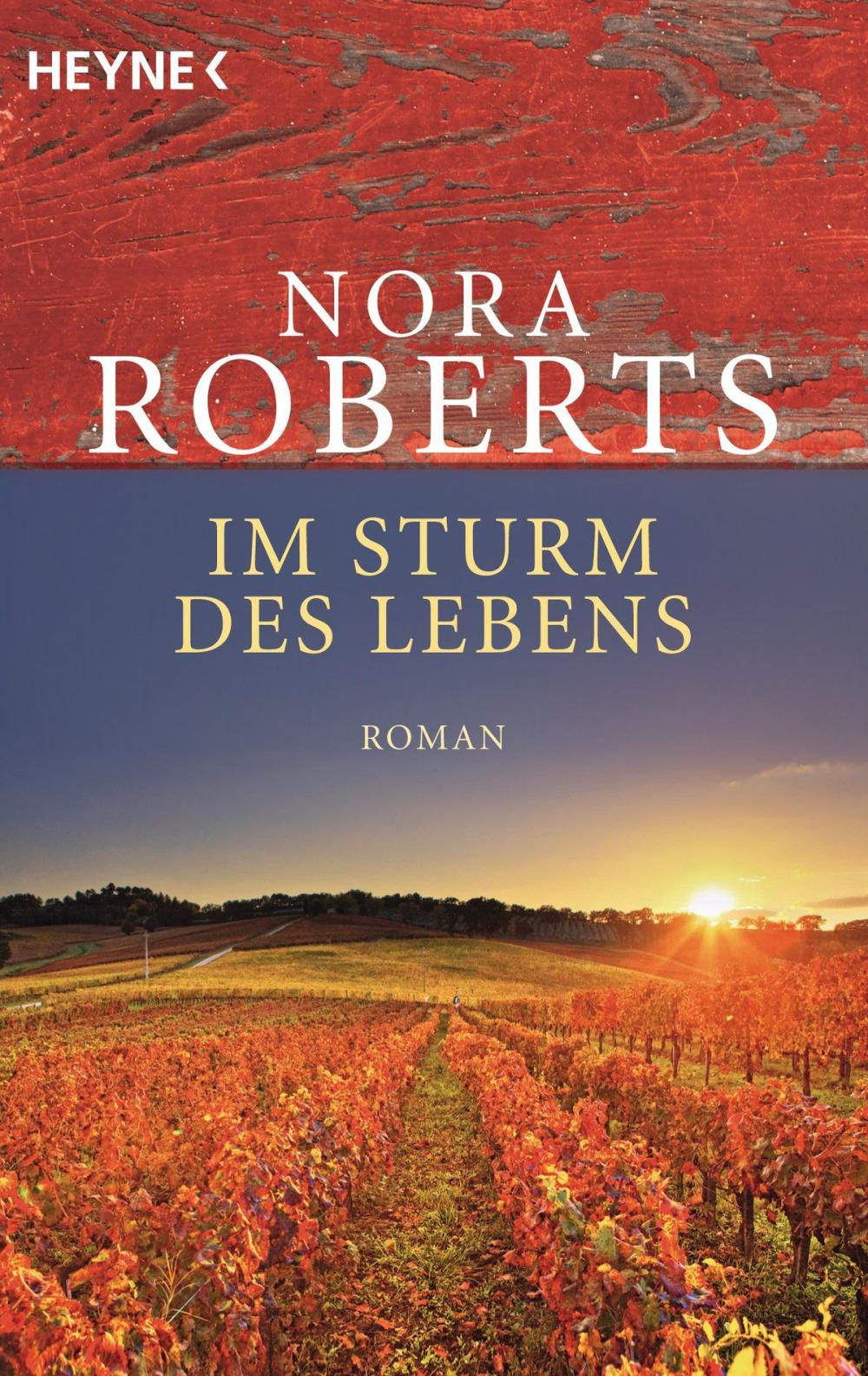 Big bigCover of Im Sturm des Lebens