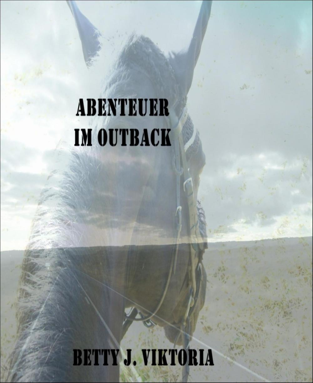 Big bigCover of Abenteuer im Outback