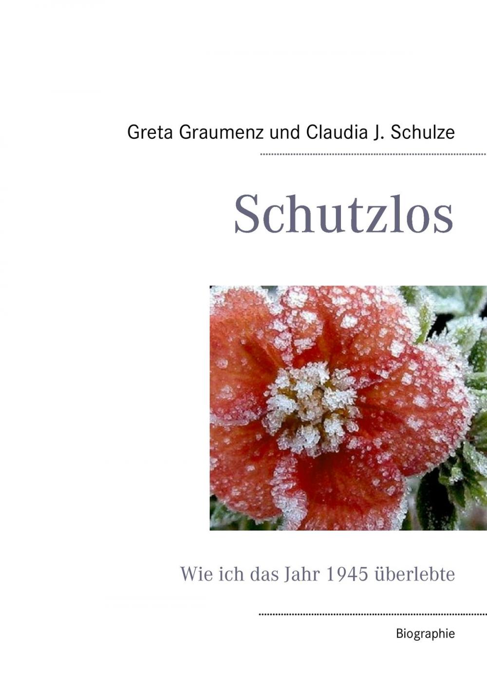 Big bigCover of Schutzlos