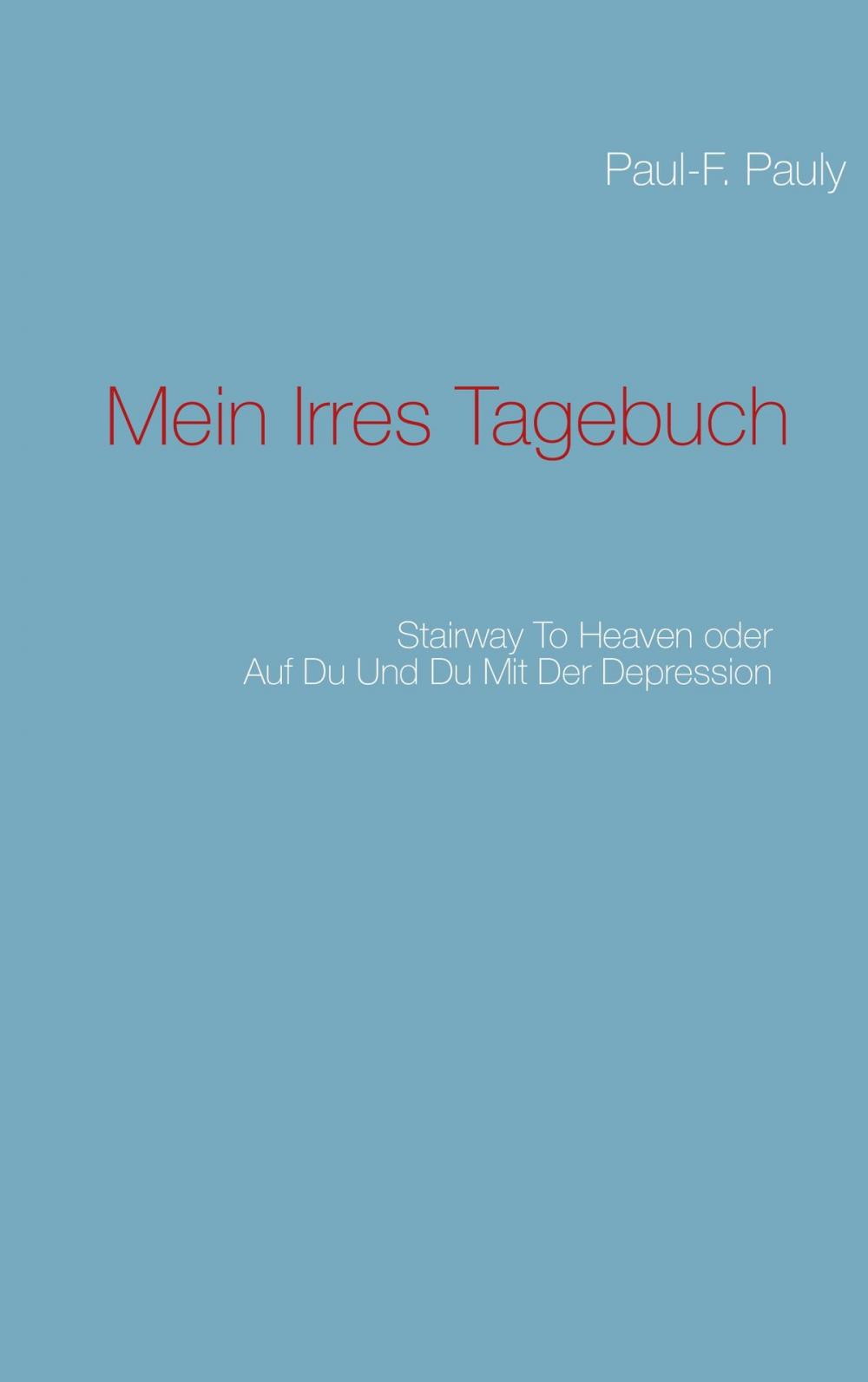 Big bigCover of Mein irres Tagebuch