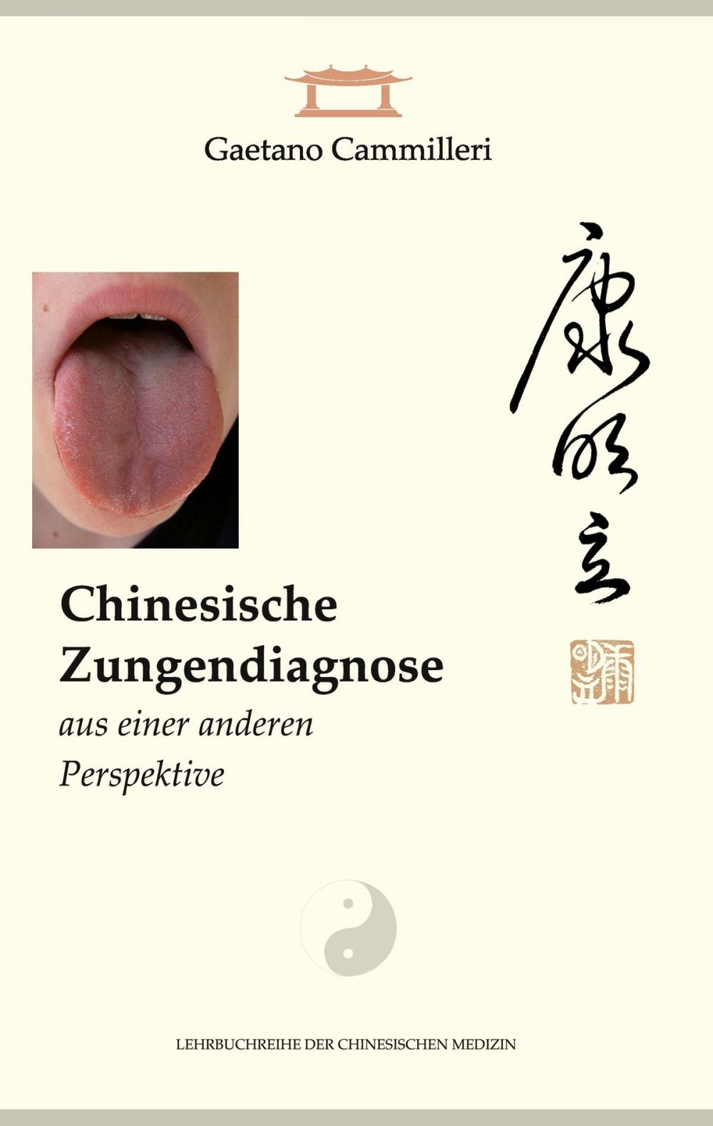 Big bigCover of Chinesische Zungendiagnose aus einer anderen Perspektive