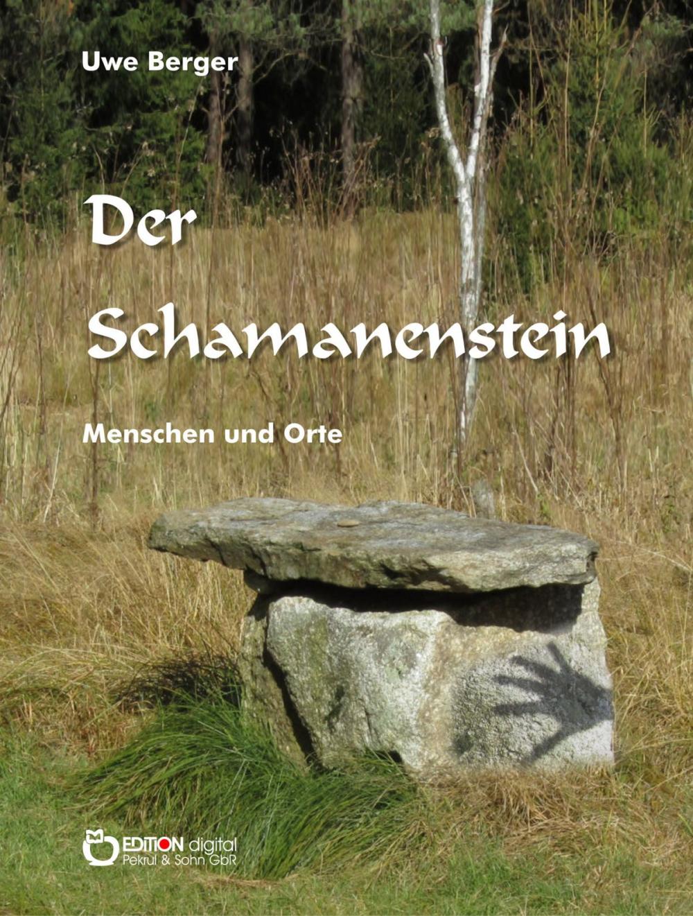 Big bigCover of Der Schamanenstein