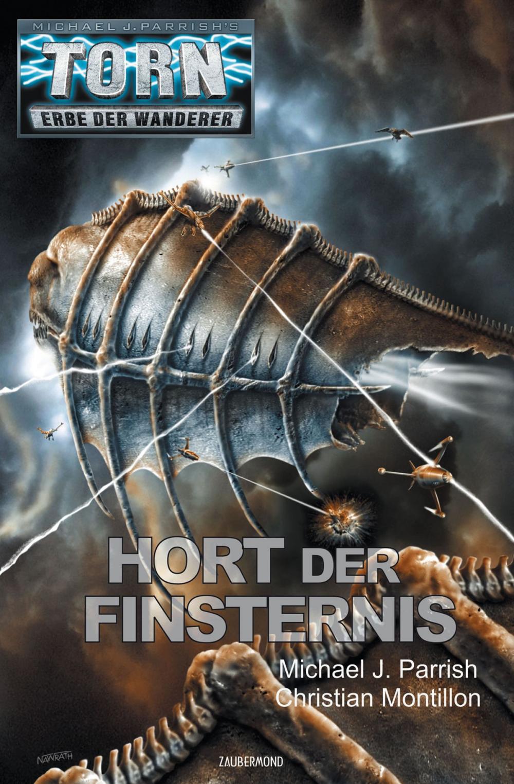 Big bigCover of Torn 42 - Hort der Finsternis