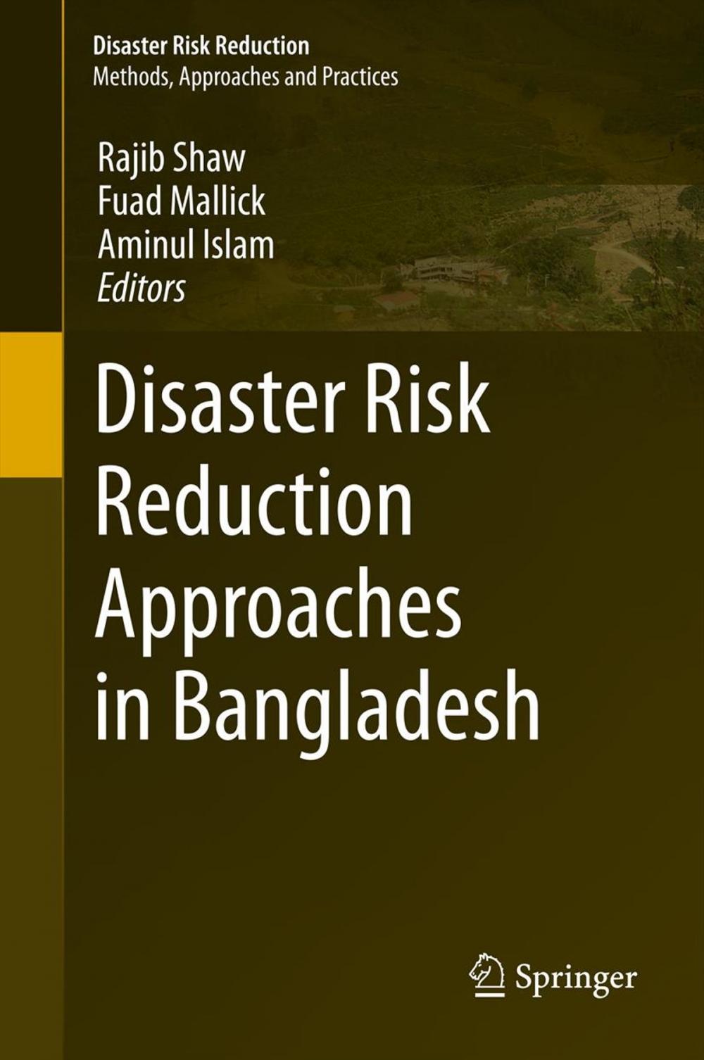 Big bigCover of Disaster Risk Reduction Approaches in Bangladesh