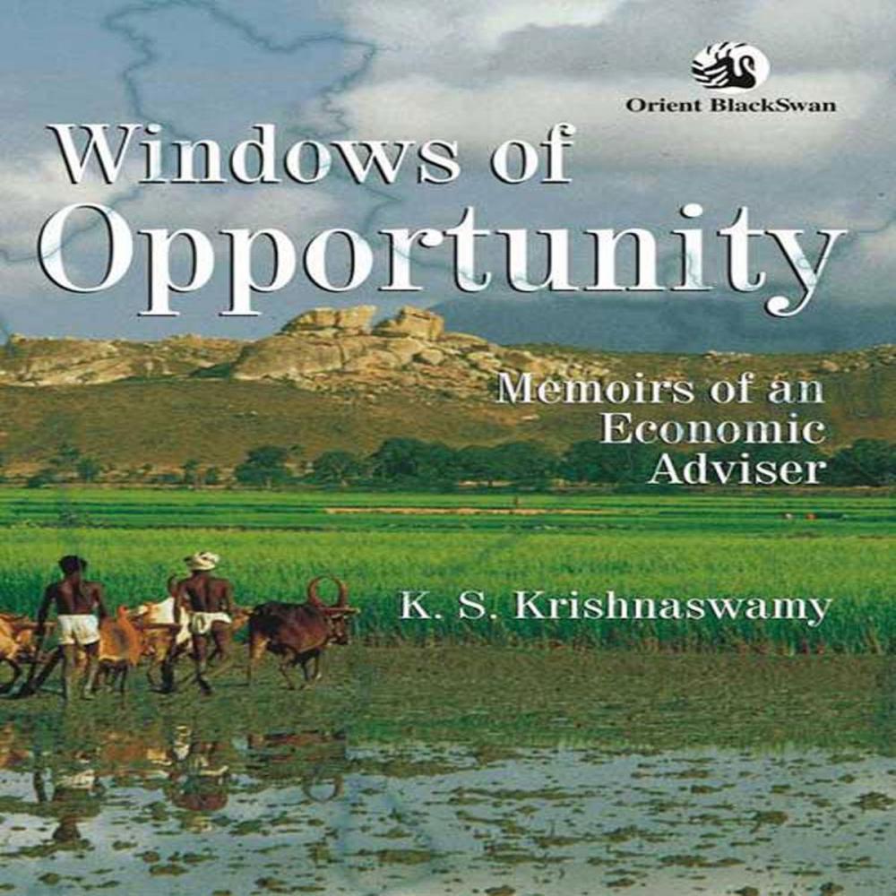 Big bigCover of Windows of Opportunity