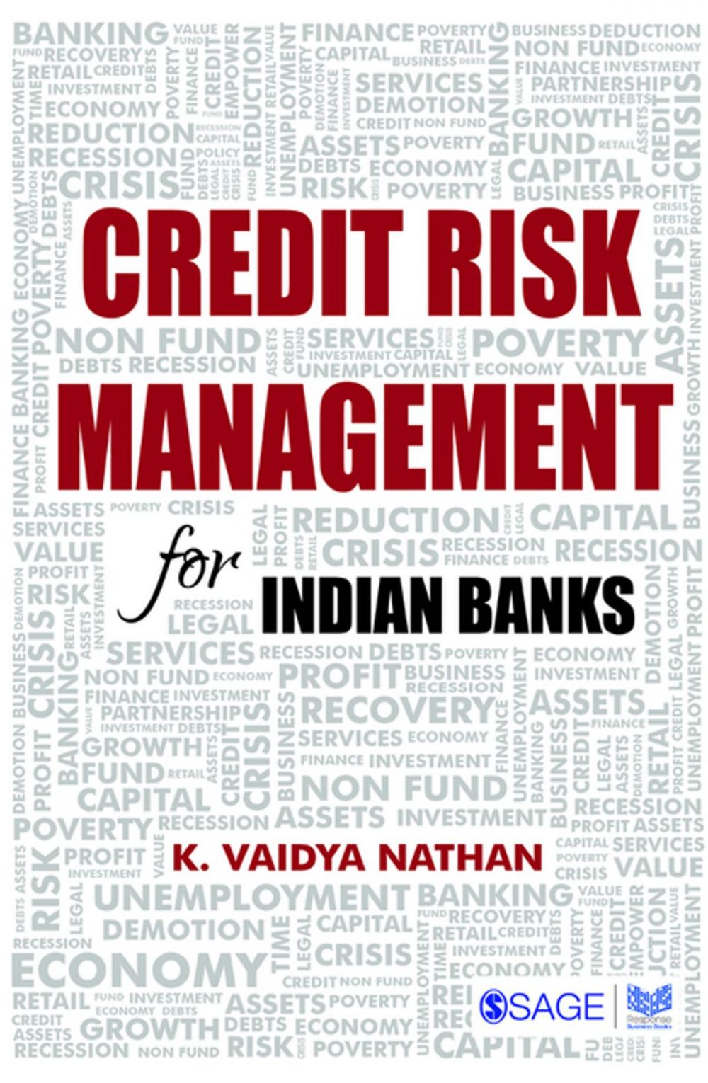 Big bigCover of Credit Risk Management for Indian Banks