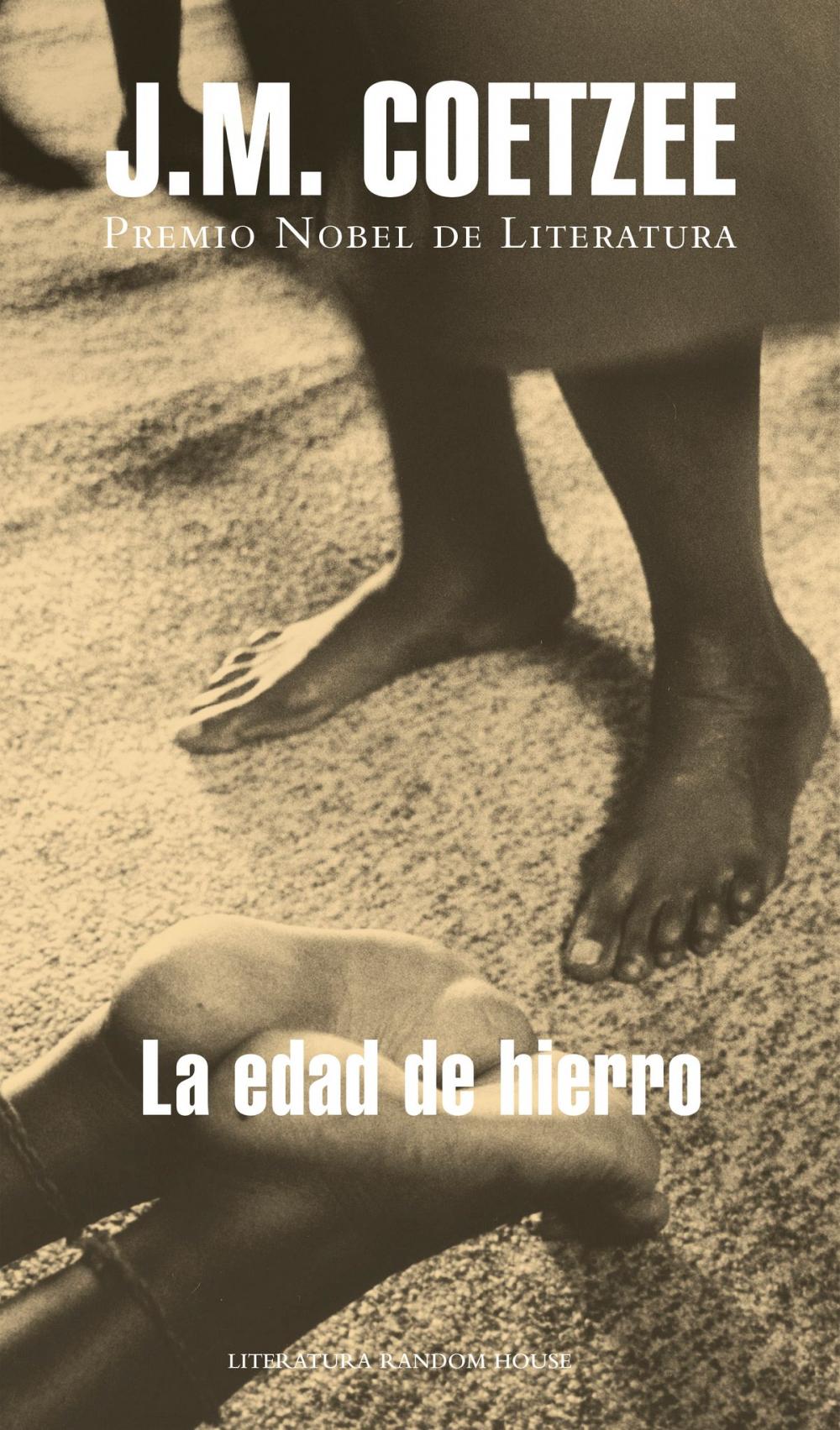 Big bigCover of La edad de hierro