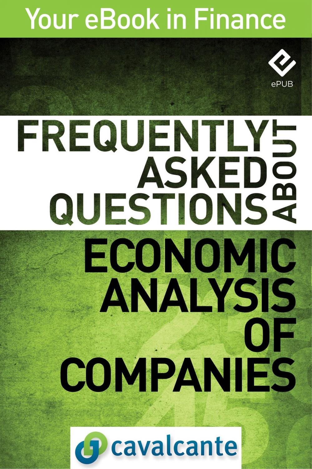 Big bigCover of Frequently Asked Questions About Economic Analysis of Companies