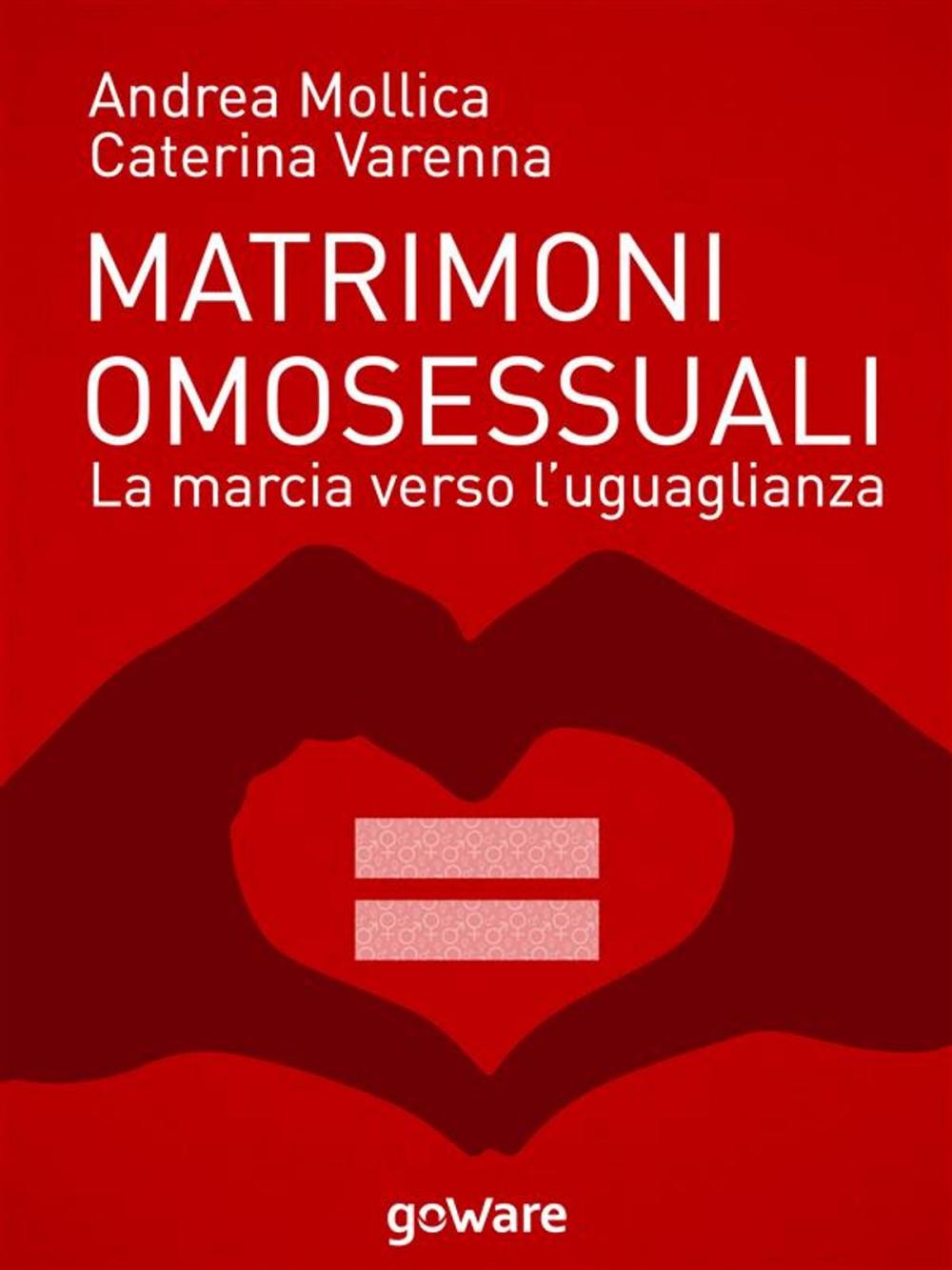 Big bigCover of Matrimoni omosessuali. La marcia verso l’uguaglianza