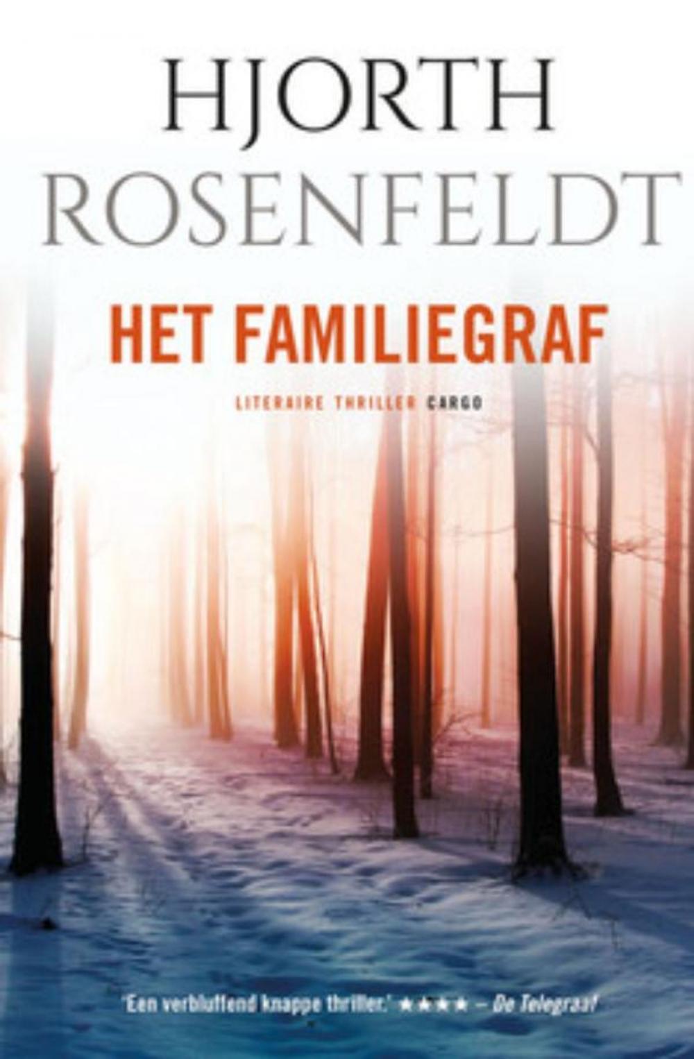 Big bigCover of Het familiegraf