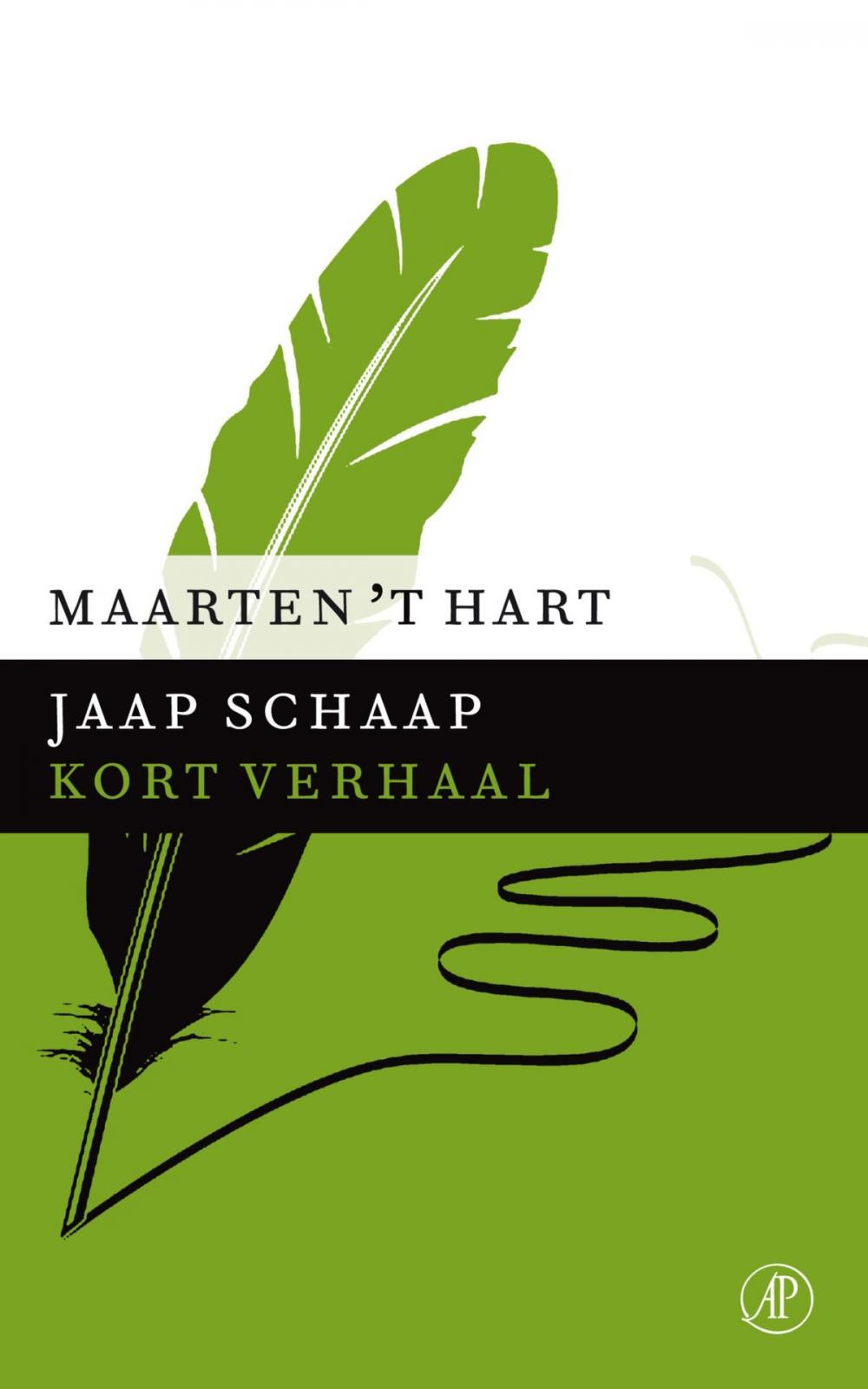 Big bigCover of Jaap Schaap