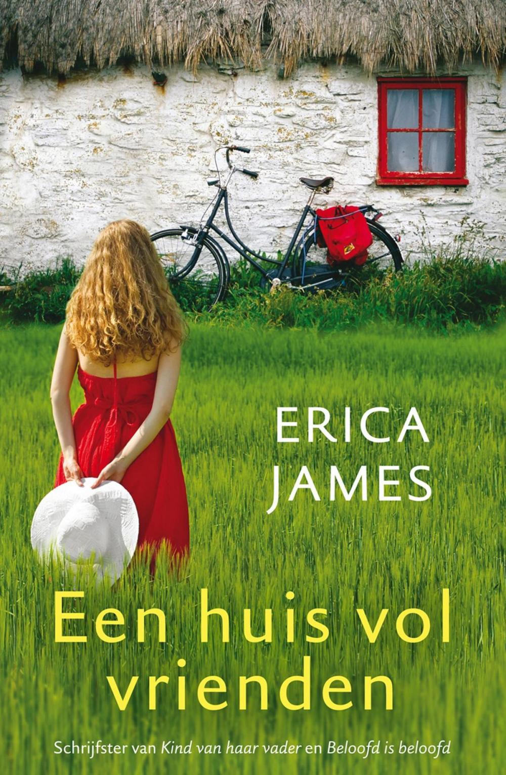 Big bigCover of Een huis vol vrienden