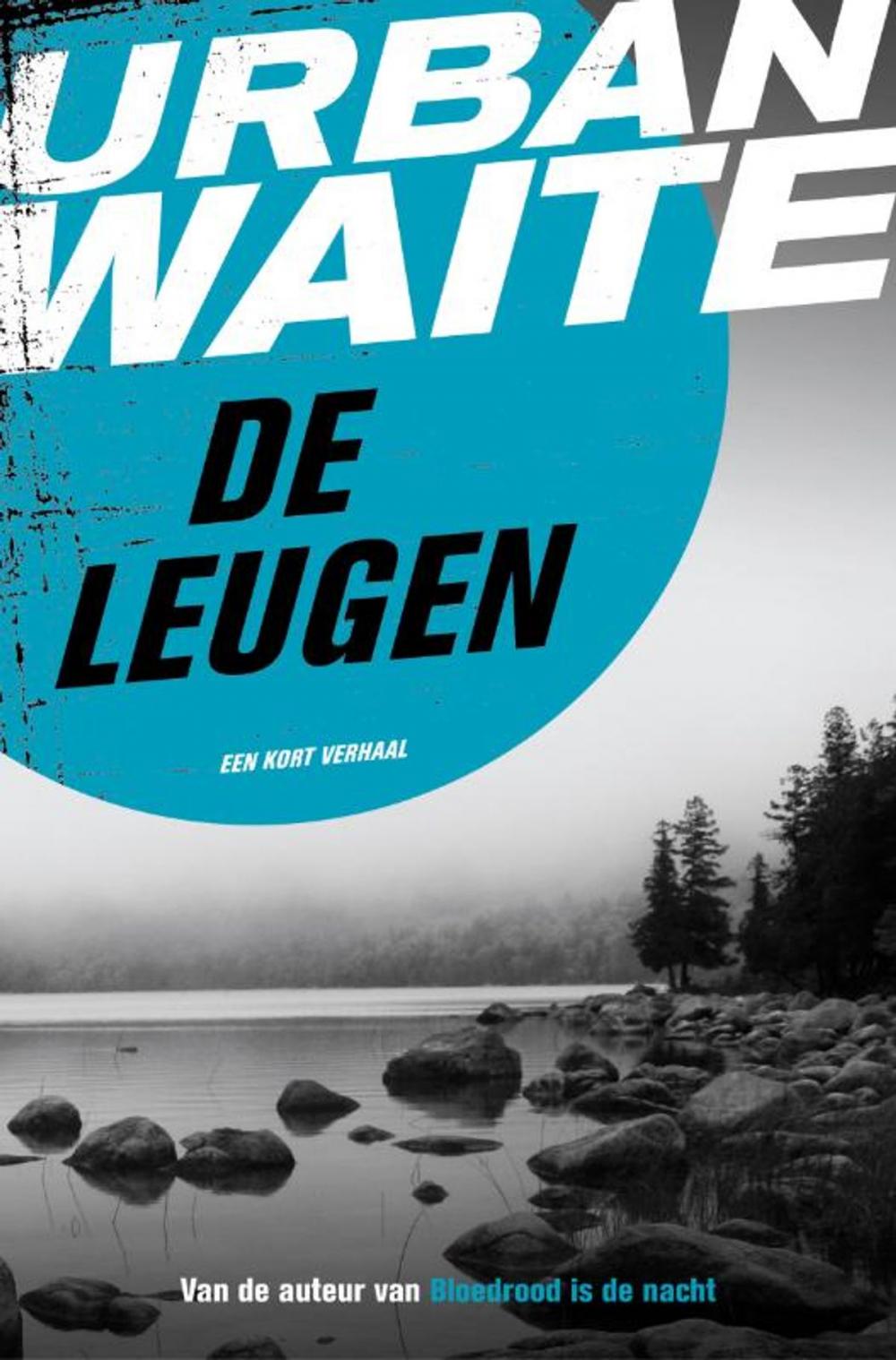 Big bigCover of De leugen