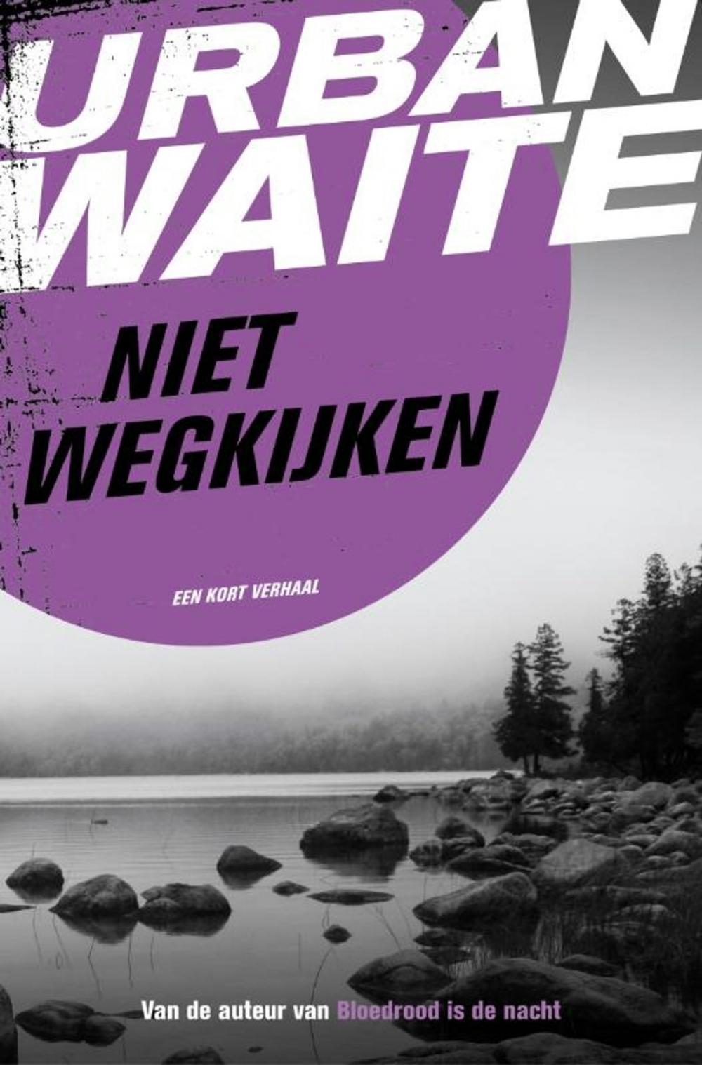 Big bigCover of Niet wegkijken