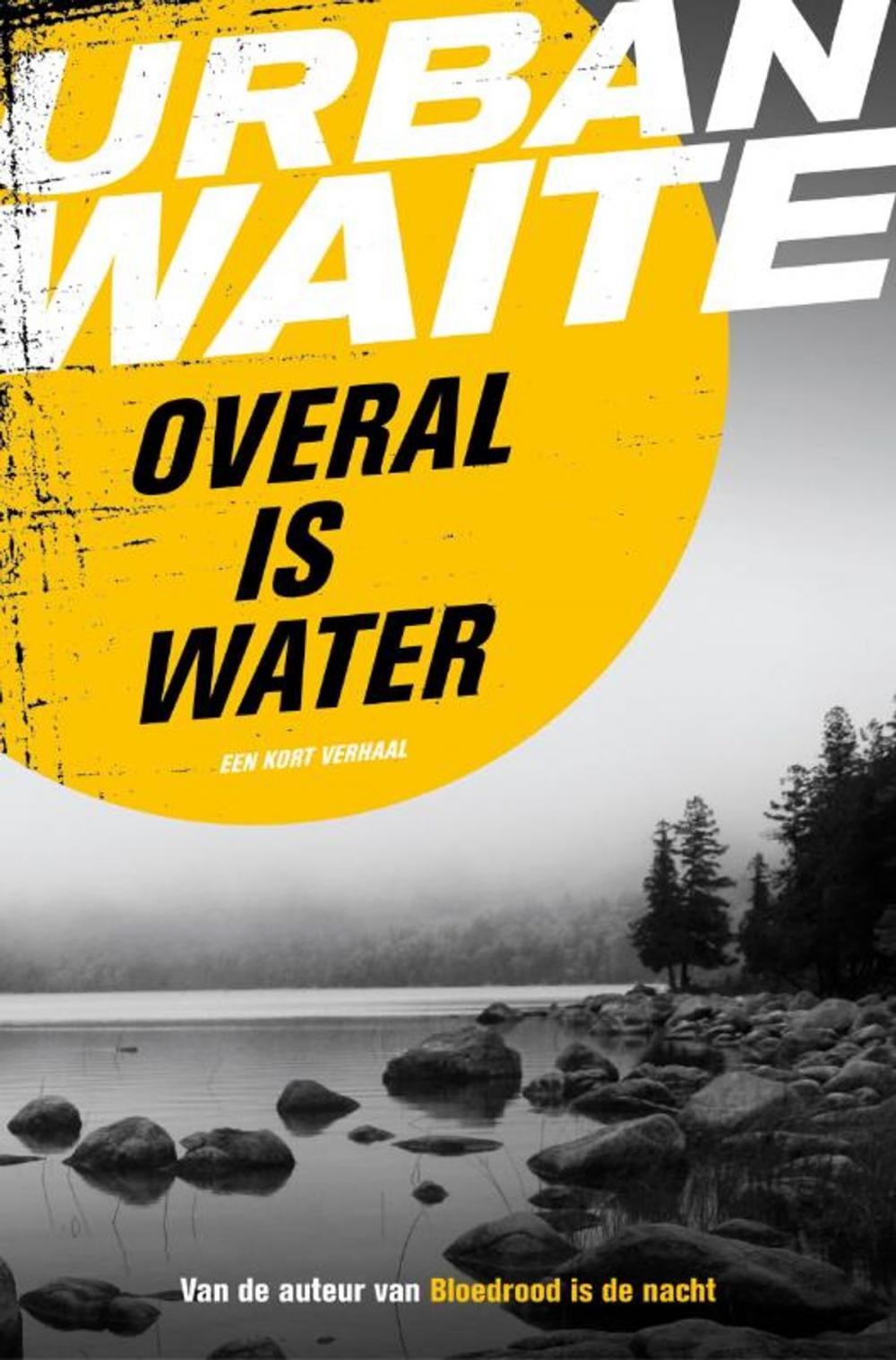 Big bigCover of Overal is water