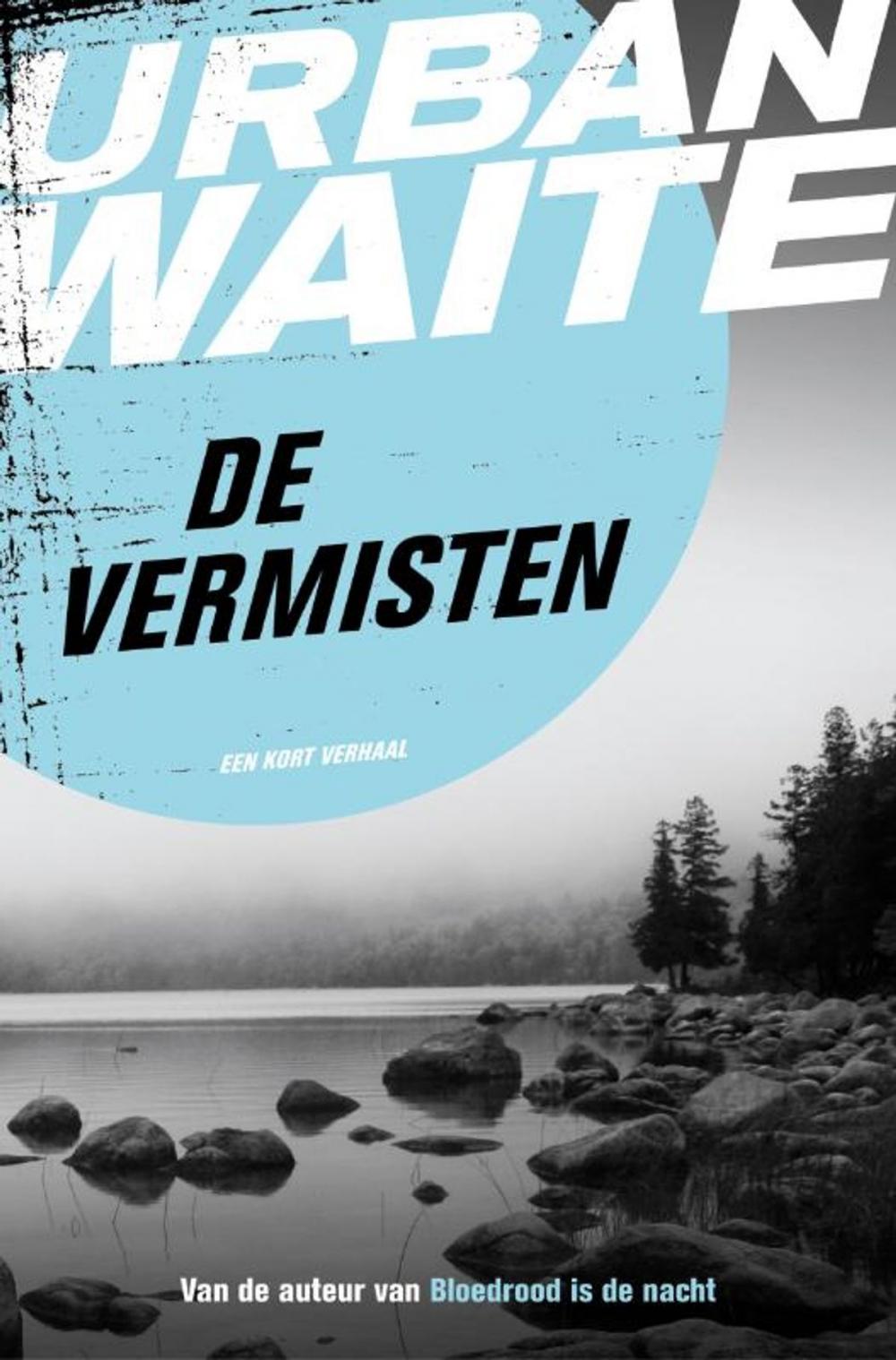 Big bigCover of De vermisten