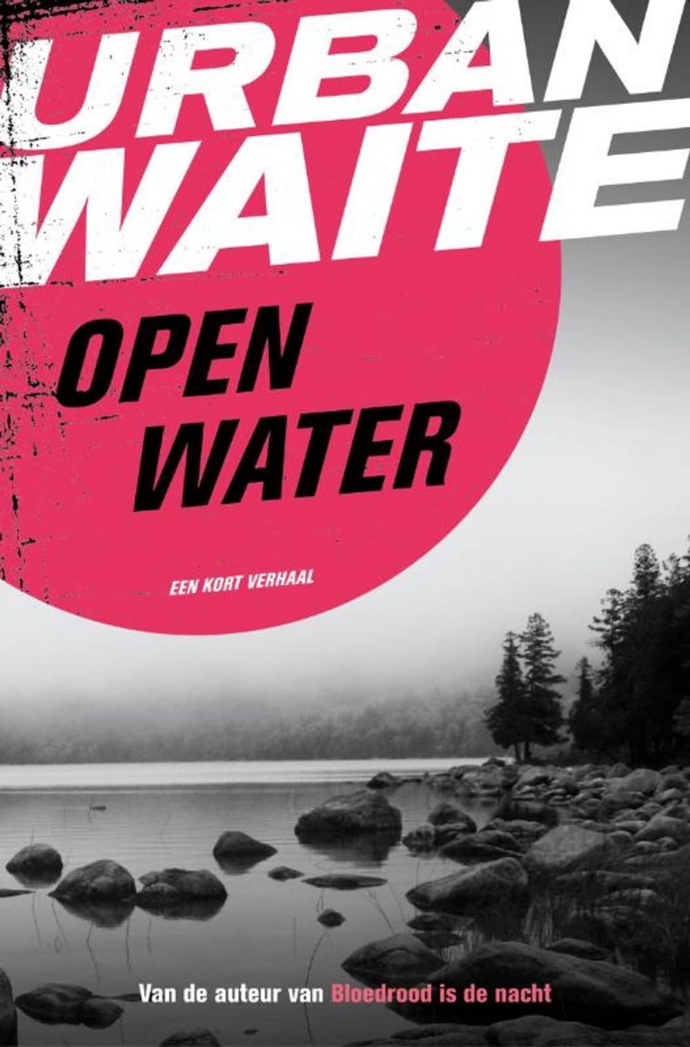 Big bigCover of Open water