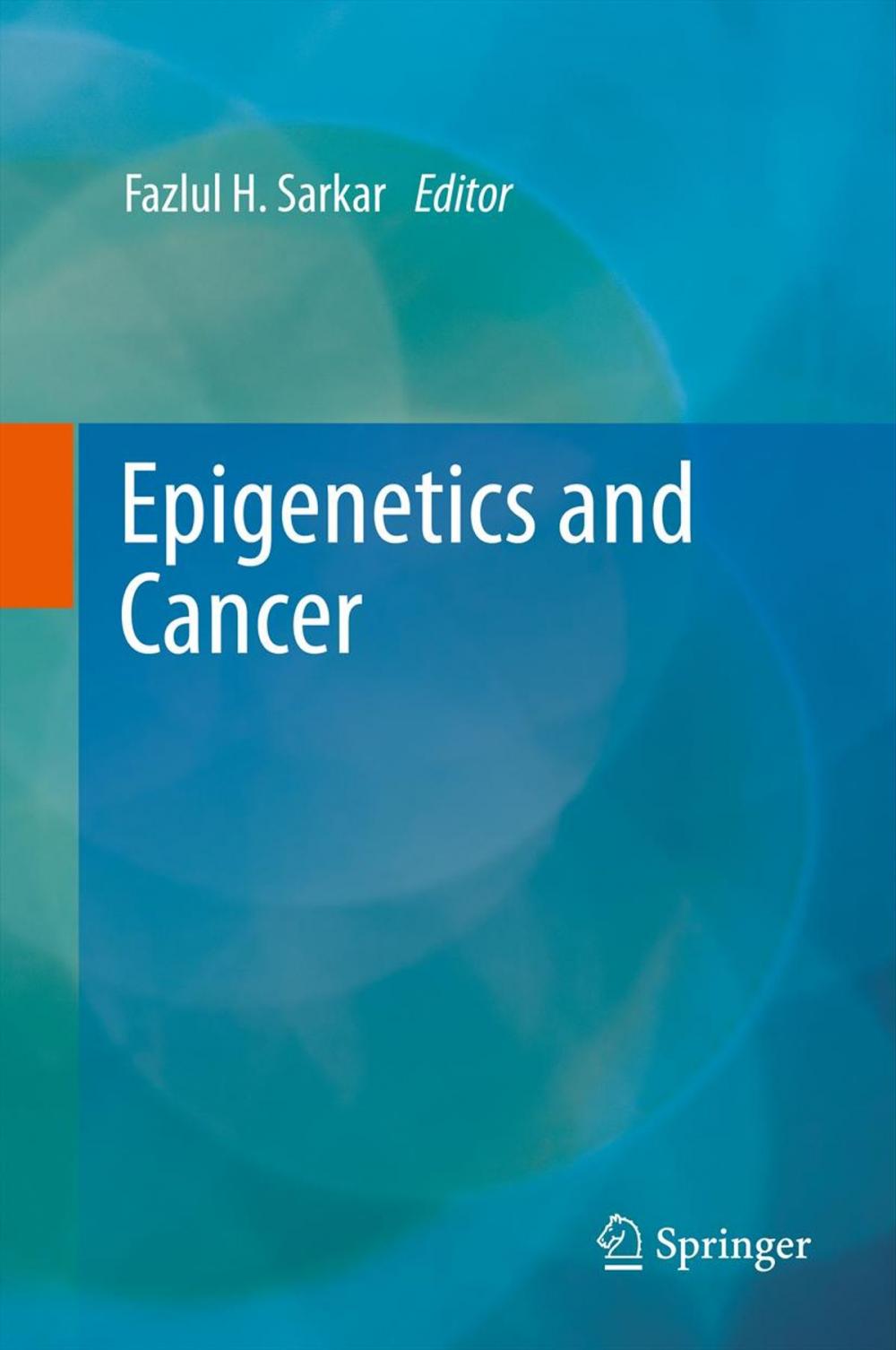 Big bigCover of Epigenetics and Cancer