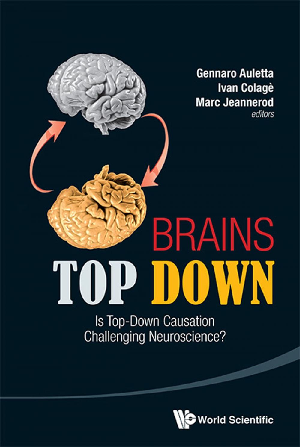 Big bigCover of Brains Top Down