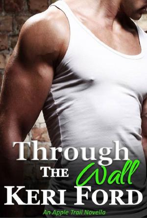 Cover of the book Through The Wall by E.L. Montes