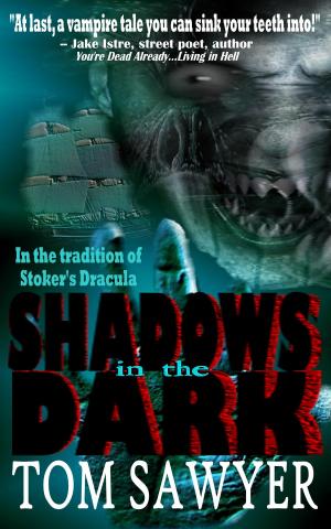 Cover of the book Shadows in the Dark by Manuel Jesus Palma Roldan