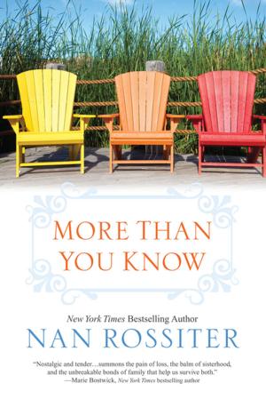 Cover of the book More Than You Know by Holly Chamberlin