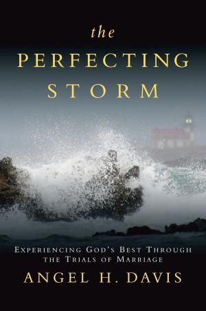 Cover of the book The Perfecting Storm by Mark Davis